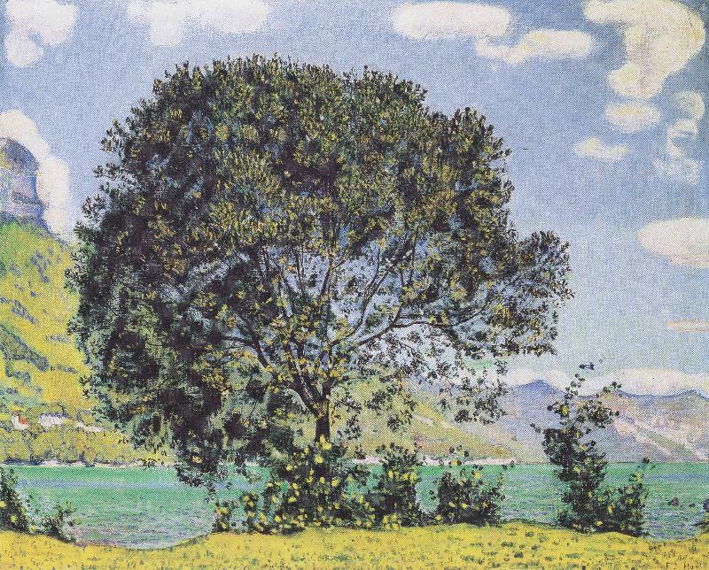Ferdinand Hodler Baum am Brienzersee vom Bodeli aus oil painting picture